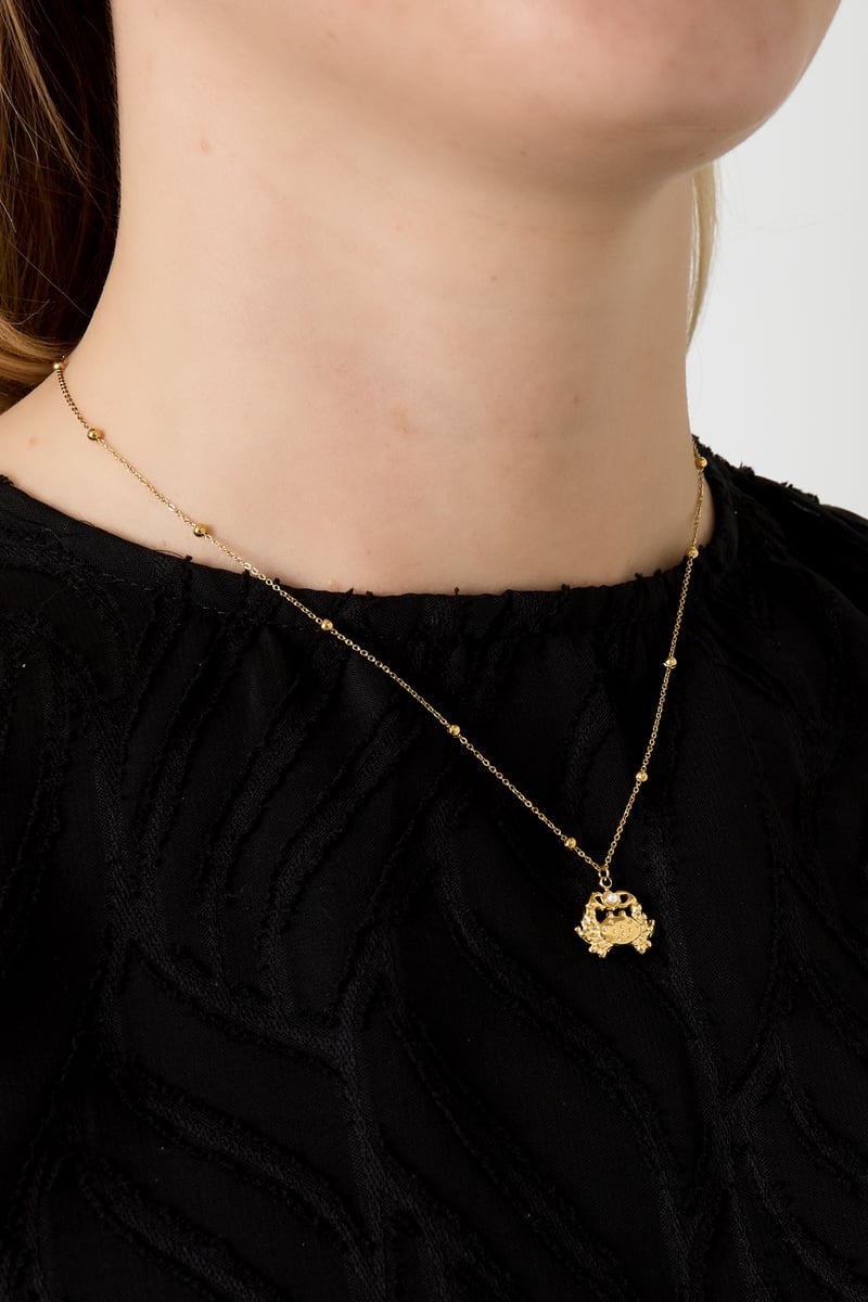   Hangerkettingen Animal Casual Daily Simple Series Damessieraden