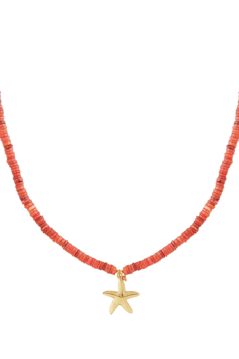 Grote zeester ketting